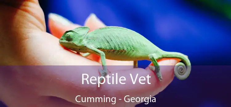 Reptile Vet Cumming - Georgia