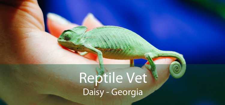 Reptile Vet Daisy - Georgia