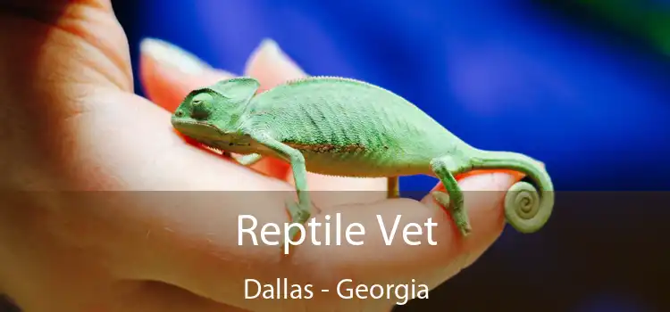 Reptile Vet Dallas - Georgia