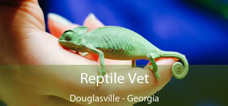 Reptile Vet Douglasville - Georgia