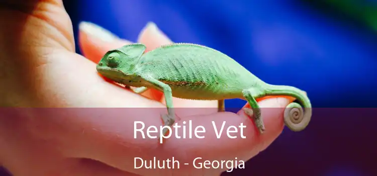 Reptile Vet Duluth - Georgia