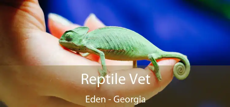 Reptile Vet Eden - Georgia