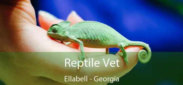 Reptile Vet Ellabell - Georgia