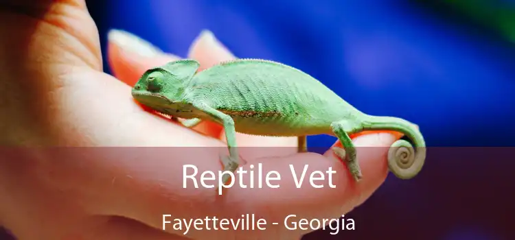 Reptile Vet Fayetteville - Georgia