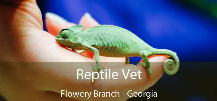 Reptile Vet Flowery Branch - Georgia