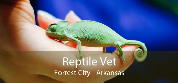 Reptile Vet Forrest City - Arkansas