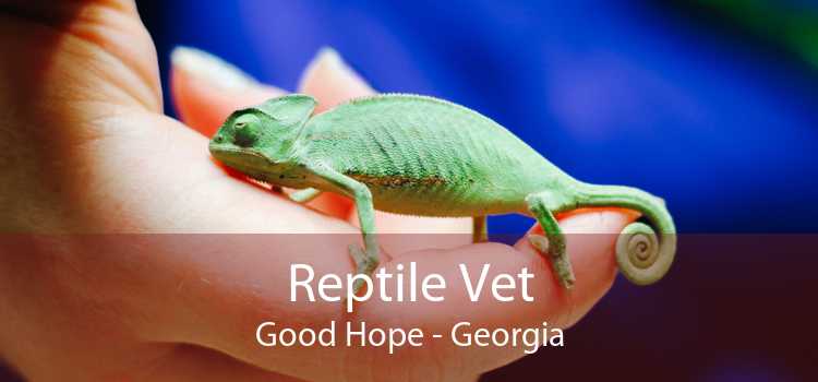 Reptile Vet Good Hope - Georgia