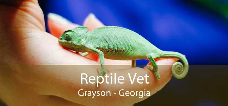 Reptile Vet Grayson - Georgia