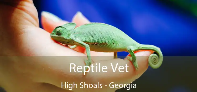 Reptile Vet High Shoals - Georgia