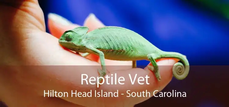 Reptile Vet Hilton Head Island - South Carolina