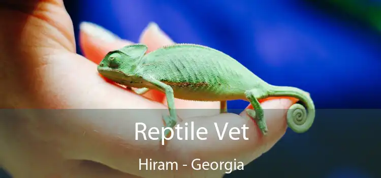 Reptile Vet Hiram - Georgia