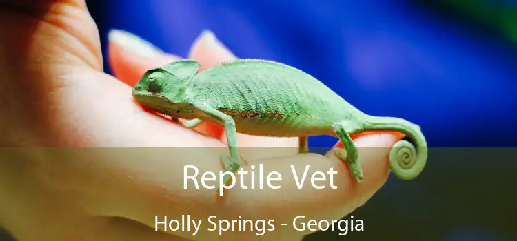 Reptile Vet Holly Springs - Georgia