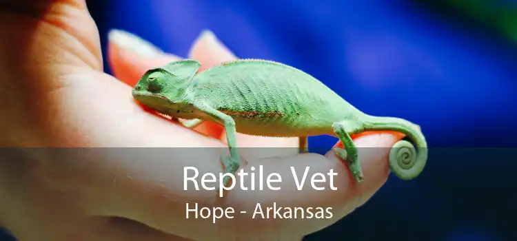 Reptile Vet Hope - Arkansas