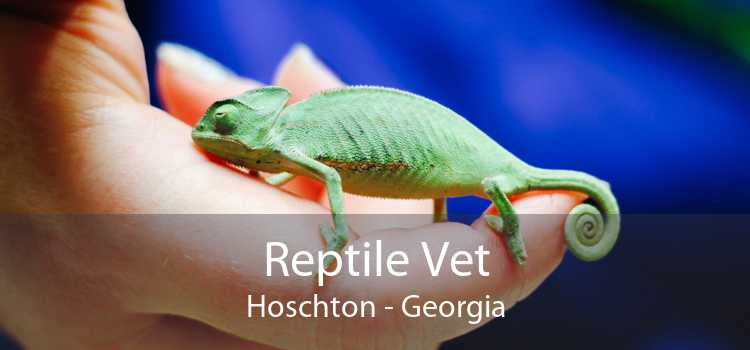 Reptile Vet Hoschton - Georgia