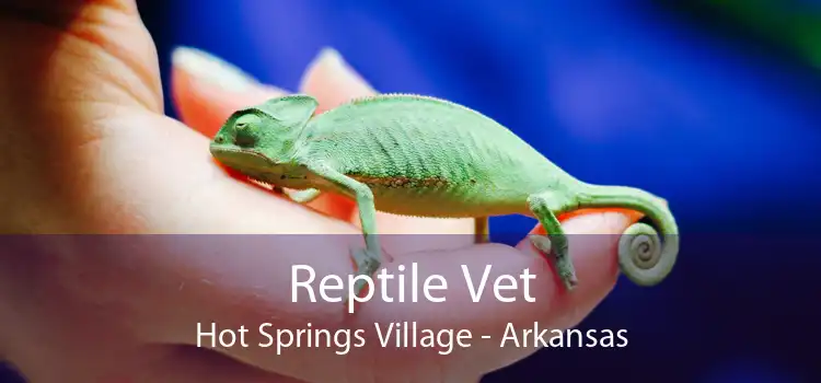 Reptile Vet Hot Springs Village - Arkansas