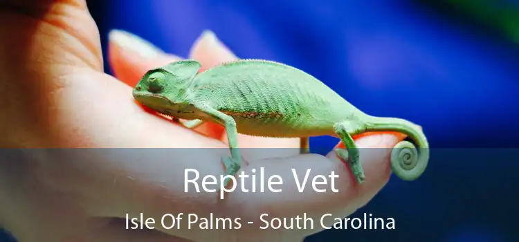 Reptile Vet Isle Of Palms - South Carolina