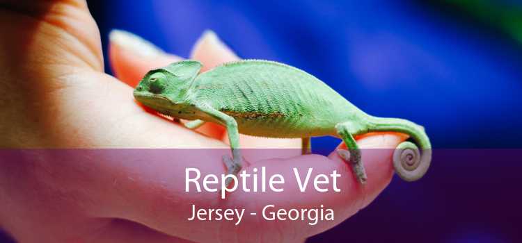 Reptile Vet Jersey - Georgia