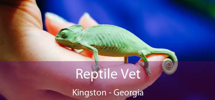 Reptile Vet Kingston - Georgia