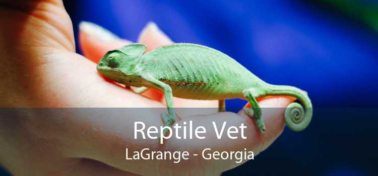 Reptile Vet LaGrange - Georgia