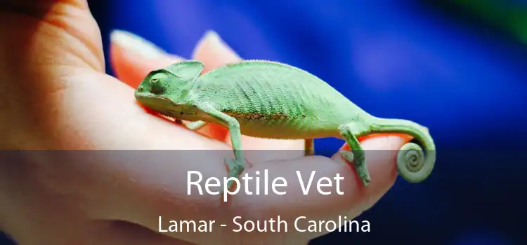 Reptile Vet Lamar - South Carolina