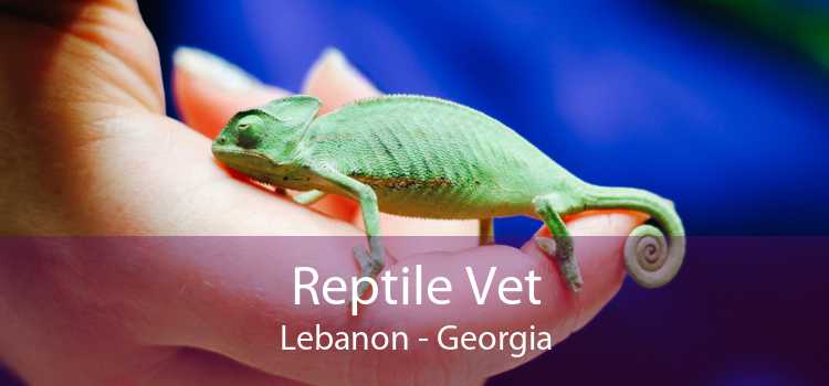 Reptile Vet Lebanon - Georgia