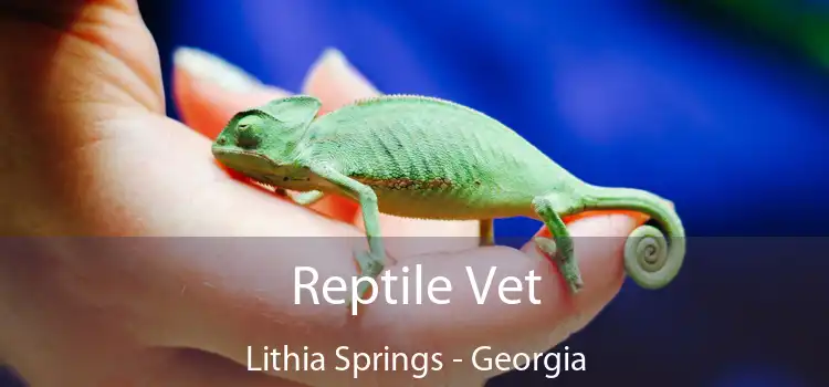 Reptile Vet Lithia Springs - Georgia