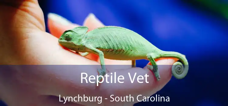 Reptile Vet Lynchburg - South Carolina