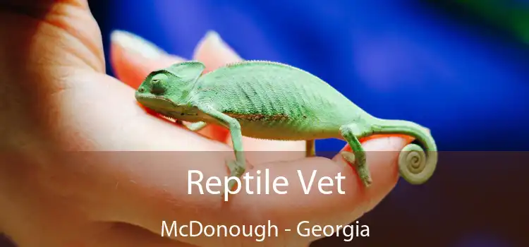 Reptile Vet McDonough - Georgia