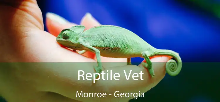 Reptile Vet Monroe - Georgia