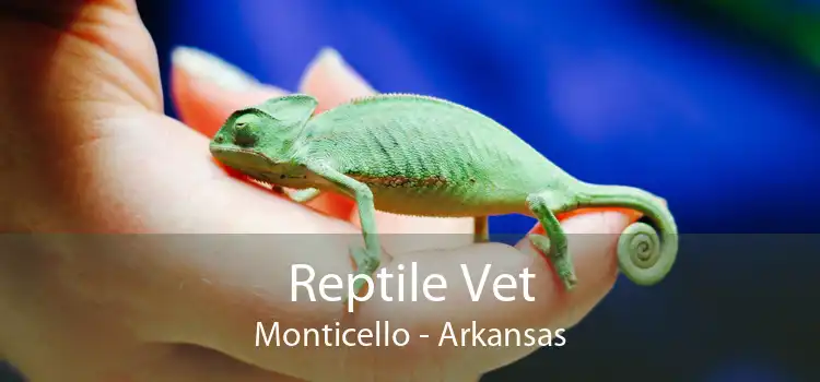Reptile Vet Monticello - Arkansas