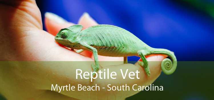 Reptile Vet Myrtle Beach - South Carolina