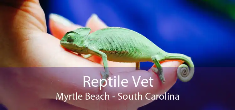 Reptile Vet Myrtle Beach - South Carolina