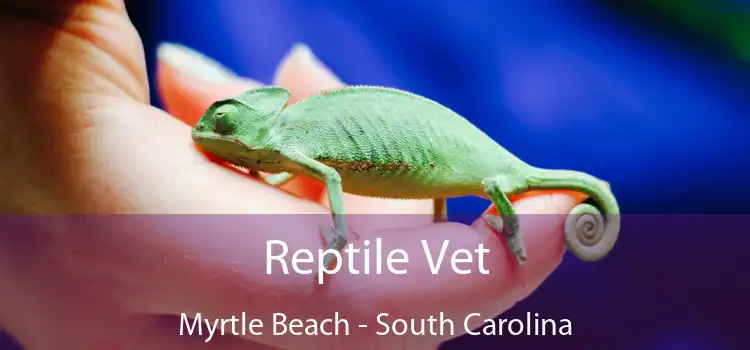 Reptile Vet Myrtle Beach - South Carolina