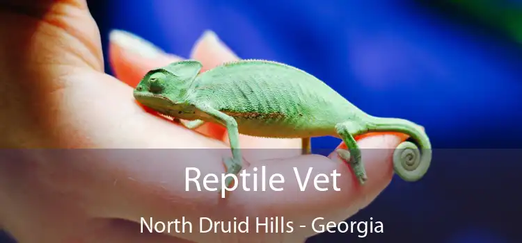 Reptile Vet North Druid Hills - Georgia