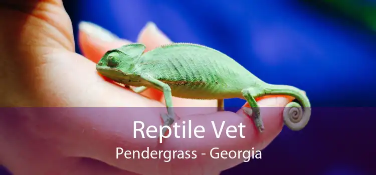 Reptile Vet Pendergrass - Georgia