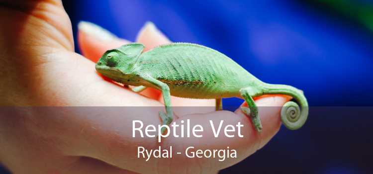 Reptile Vet Rydal - Georgia