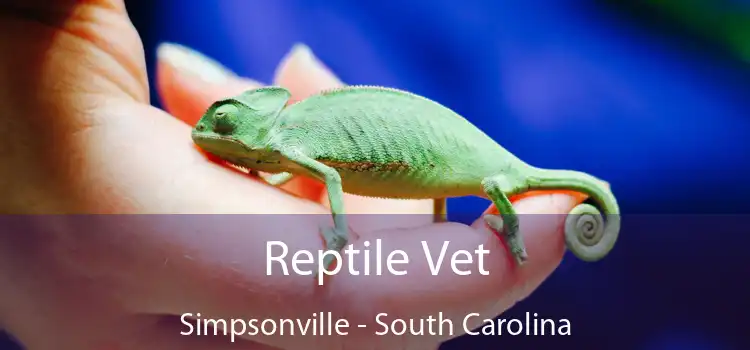 Reptile Vet Simpsonville - South Carolina