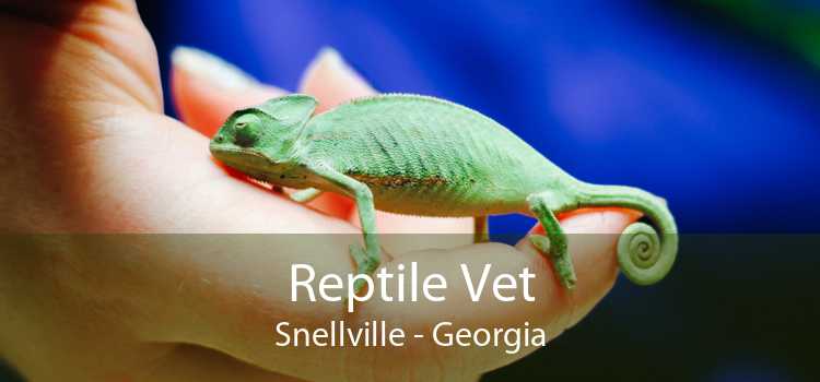 Reptile Vet Snellville - Georgia