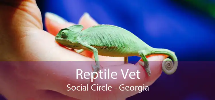 Reptile Vet Social Circle - Georgia