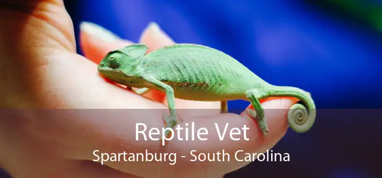 Reptile Vet Spartanburg - South Carolina