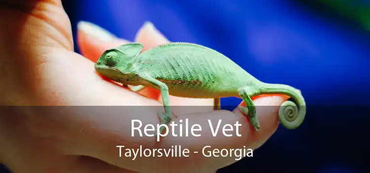Reptile Vet Taylorsville - Georgia