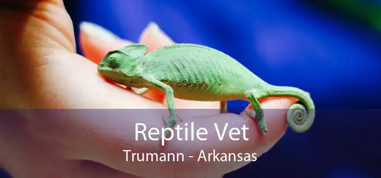 Reptile Vet Trumann - Arkansas