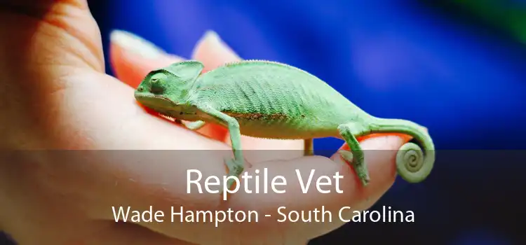 Reptile Vet Wade Hampton - South Carolina