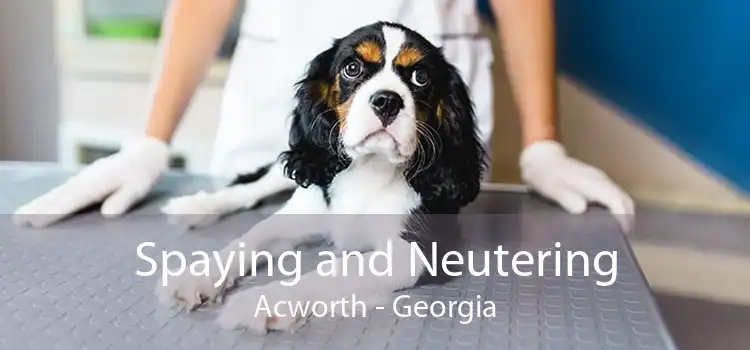 Spaying and Neutering Acworth - Georgia