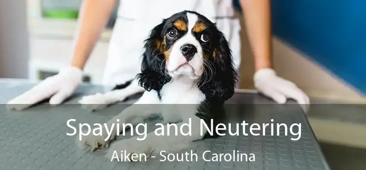 Spaying and Neutering Aiken - South Carolina