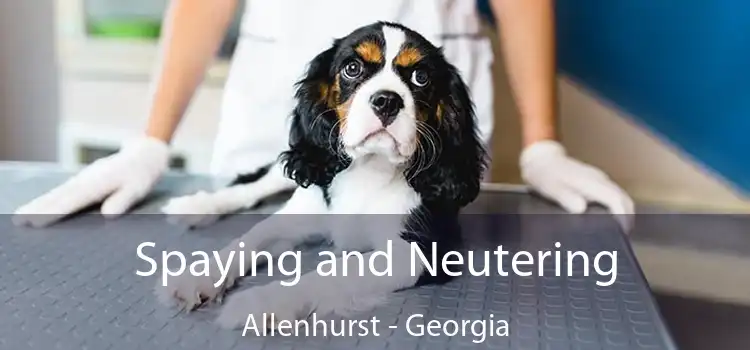 Spaying and Neutering Allenhurst - Georgia