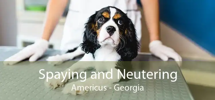 Spaying and Neutering Americus - Georgia