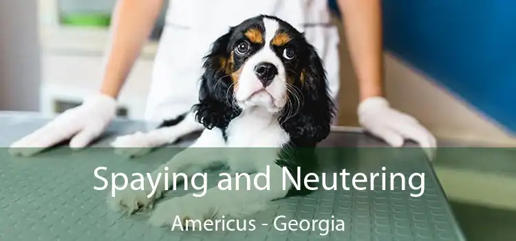 Spaying and Neutering Americus - Georgia