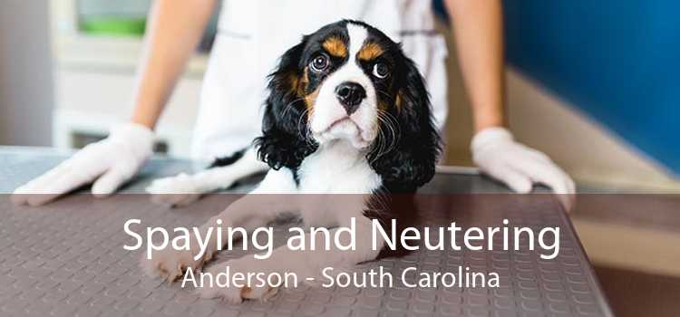 Spaying and Neutering Anderson - South Carolina