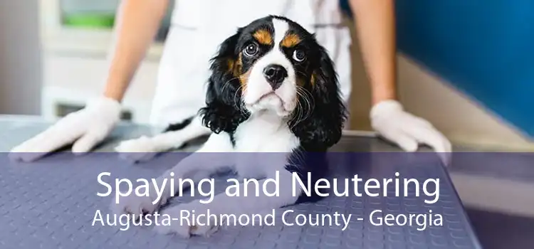 Spaying and Neutering Augusta-Richmond County - Georgia